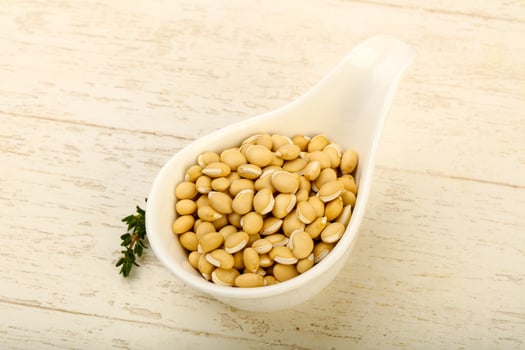 White beans in a bowl on wooden background photo