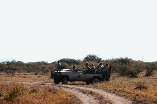 African safari, truck photo