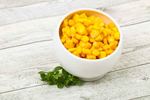 Young sweet corn photo