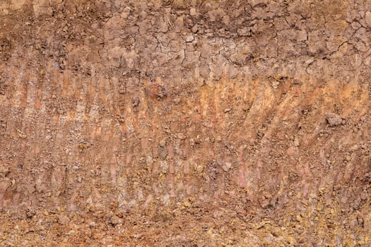Sandy loam surface which was dug. photo