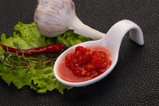 Spicy tomato and garlic sauce photo