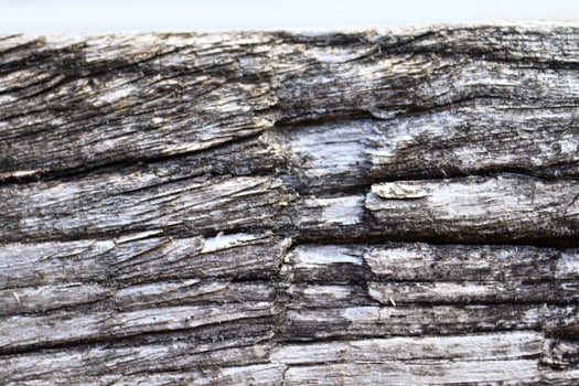 Close up view on different wood surfaces of planks logs and wooden walls in high resolution photo