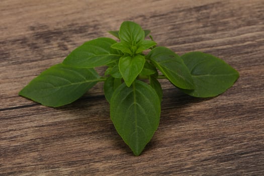 Fresh green Basil leaves - for cooking photo