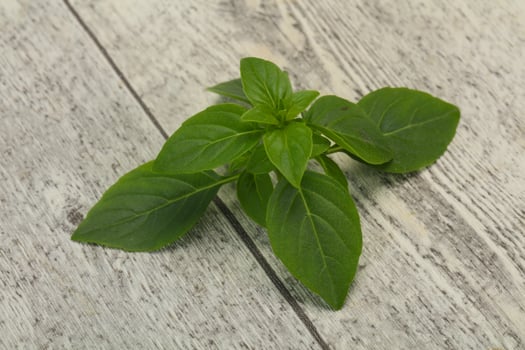 Fresh green Basil leaves - for cooking photo