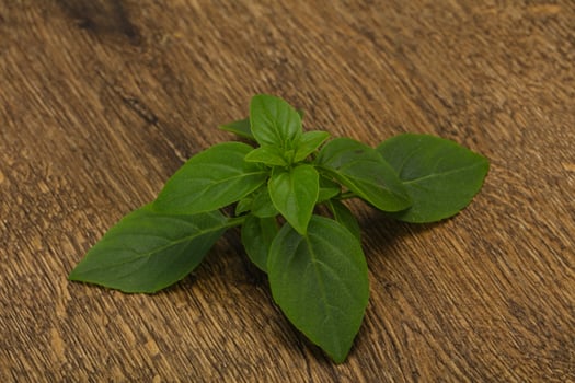 Fresh green Basil leaves - for cooking photo