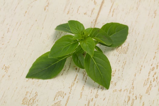 Fresh green Basil leaves - for cooking photo