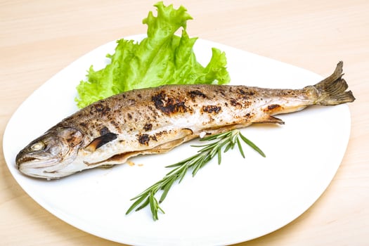 Grilled trout on the plate and wooden background photo
