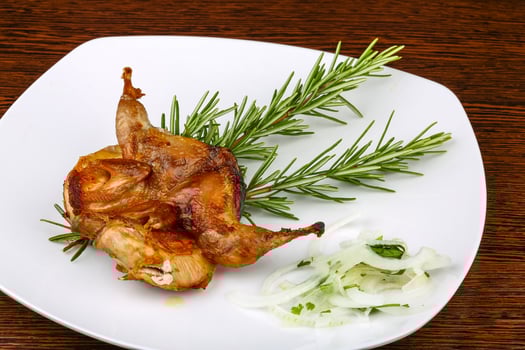 Grilled quail on the plate and wooden background photo