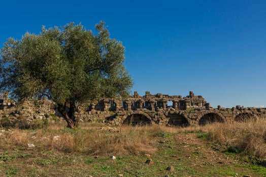 Ruins in Side photo