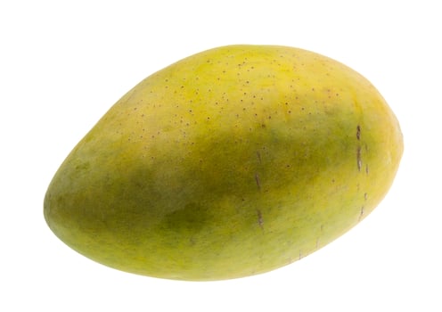 Ripe Mango on white background photo