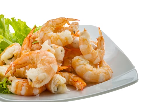 Shrimps cocktail on the plate and white background photo