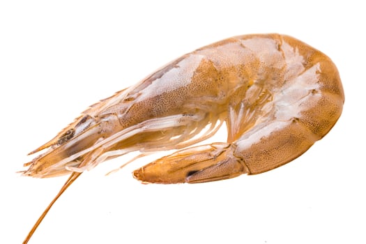 Big raw shrimps photo