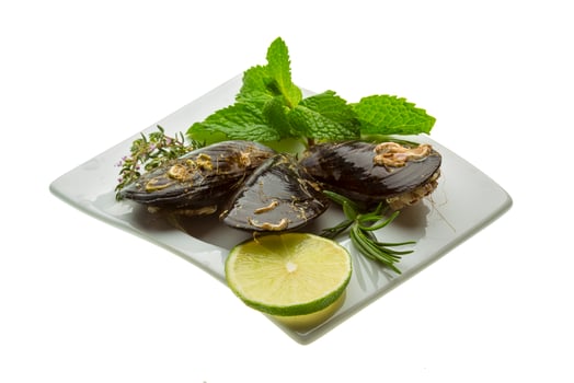 Wild mussel in a bowl on white background photo