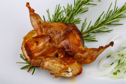 Grilled quail on the plate close up view photo