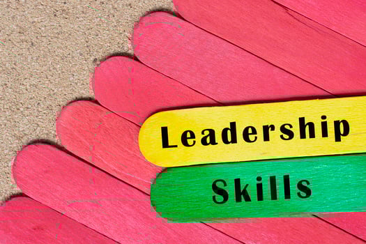 Leadership skills text on colorful wooden stick. Business concep. photo