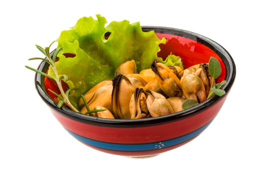 Marinated mussels on white photo