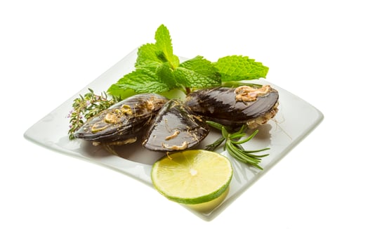 Wild mussel in a bowl on white background photo