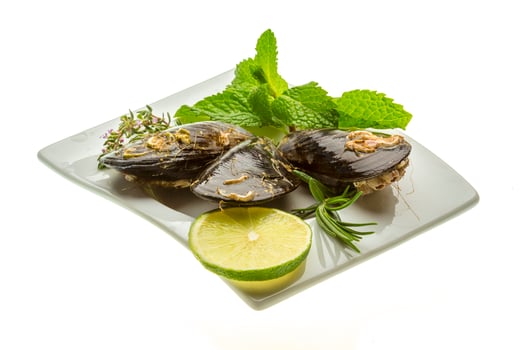 Wild mussel on white photo