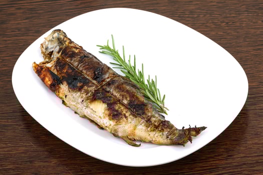 Grilled trout on the plate and wooden background photo