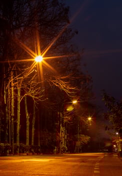 Light many lamps and trees on the dark road.. photo
