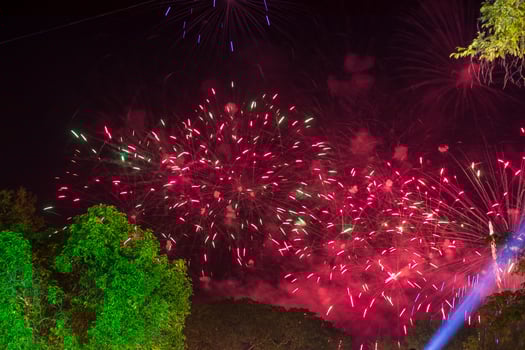 Beautiful firework lights above the trees at night. photo