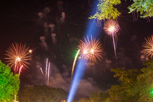 Beautiful firework lights above the trees at night. photo