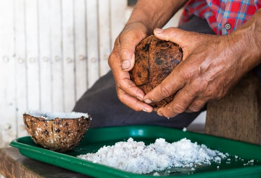 Elderly man with fingers to scrape the coconut into the tray. photo