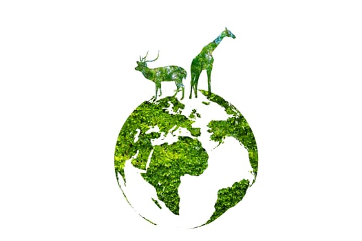 Green world with wildlife silhouette, wildlife conservation concept. photo