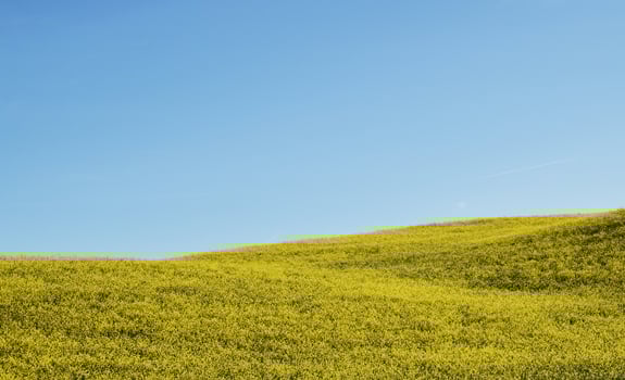 Spring colors Wallpaper photo