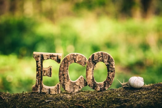 ECO writing made from wooden letters and a snail photo