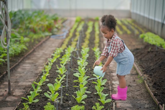 Litte Afro Kid Farmer Girl In garden watering plants and Harvest vegetables. photo