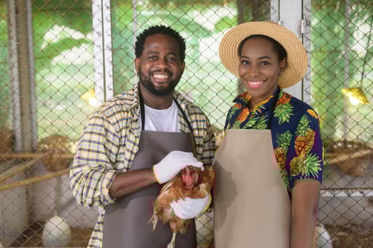 Happy black agronomist couple enjoying and working in farmland, agriculture concept photo