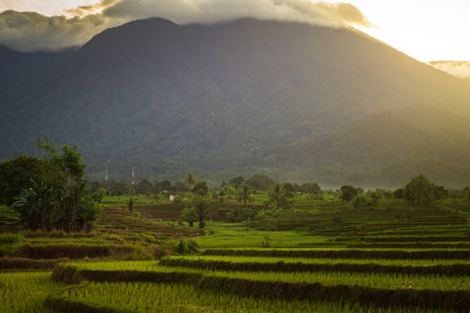 Morning sunrise in the Bengkulu countryside, North Asia, Indonesia, the beauty of the colors and natural light of the morning sky photo