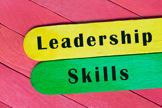 Leadership skills text on colorful wooden stick. Business concep. photo