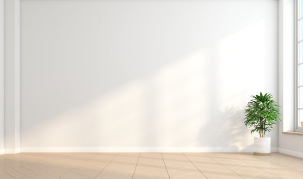 Minimalist empty room with white wall and wooden floor and indoor green plants. 3d rendering photo