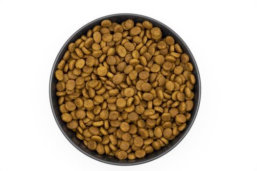 cat food in a ceramic bowl isolated on white background. Healty dry pet food. photo