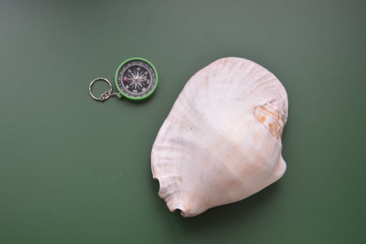 Hand compass for travel on the background of objects photo