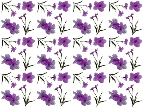 Floral Pattern on a white background photo