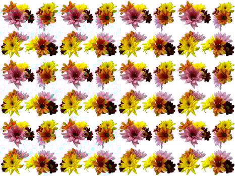 Flowers Pattern on a white background photo