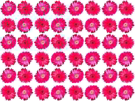 Pattern Flowers background photo