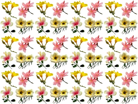 Pattern Flowers background photo