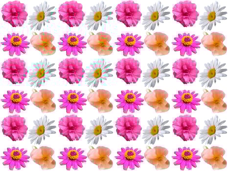 Pattern Floral background photo