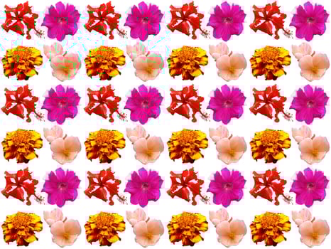 Pattern Floral background photo