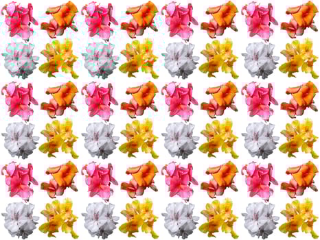 Flowers Pattern background photo