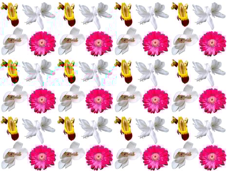 Floral Pattern background photo