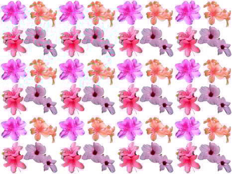 Floral Pattern background photo
