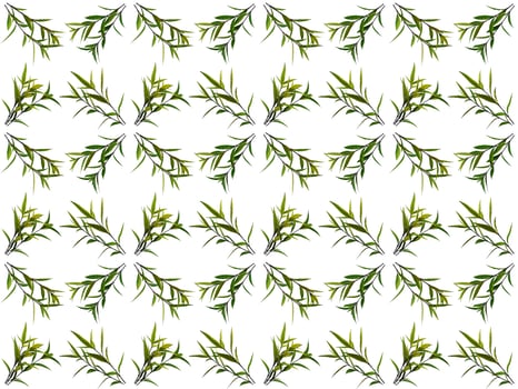 Pattern Leaves on a white background photo