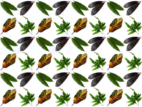 Leaves pattern background photo