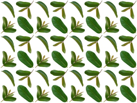 Leaves pattern background photo