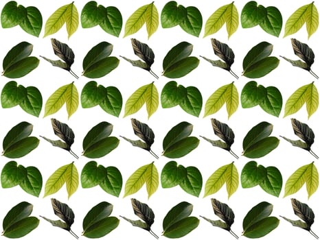 Leaf pattern background photo